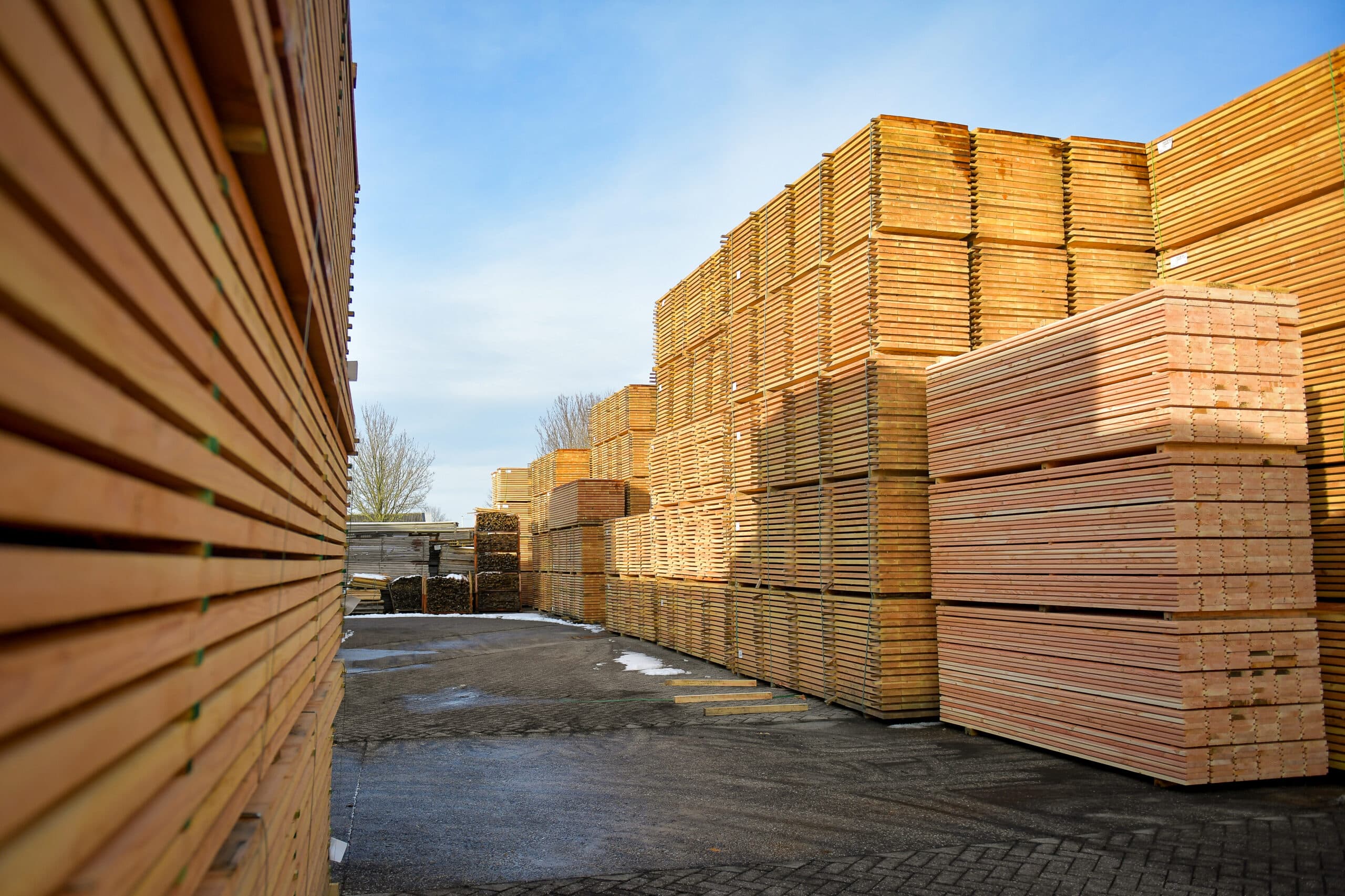 Wood